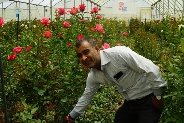 Tushar Vyas is in charge of a flower farm under the Subati Flowers near the Naivasha Lake in Kenya. [Photo: China Plus/Yang Qiong]