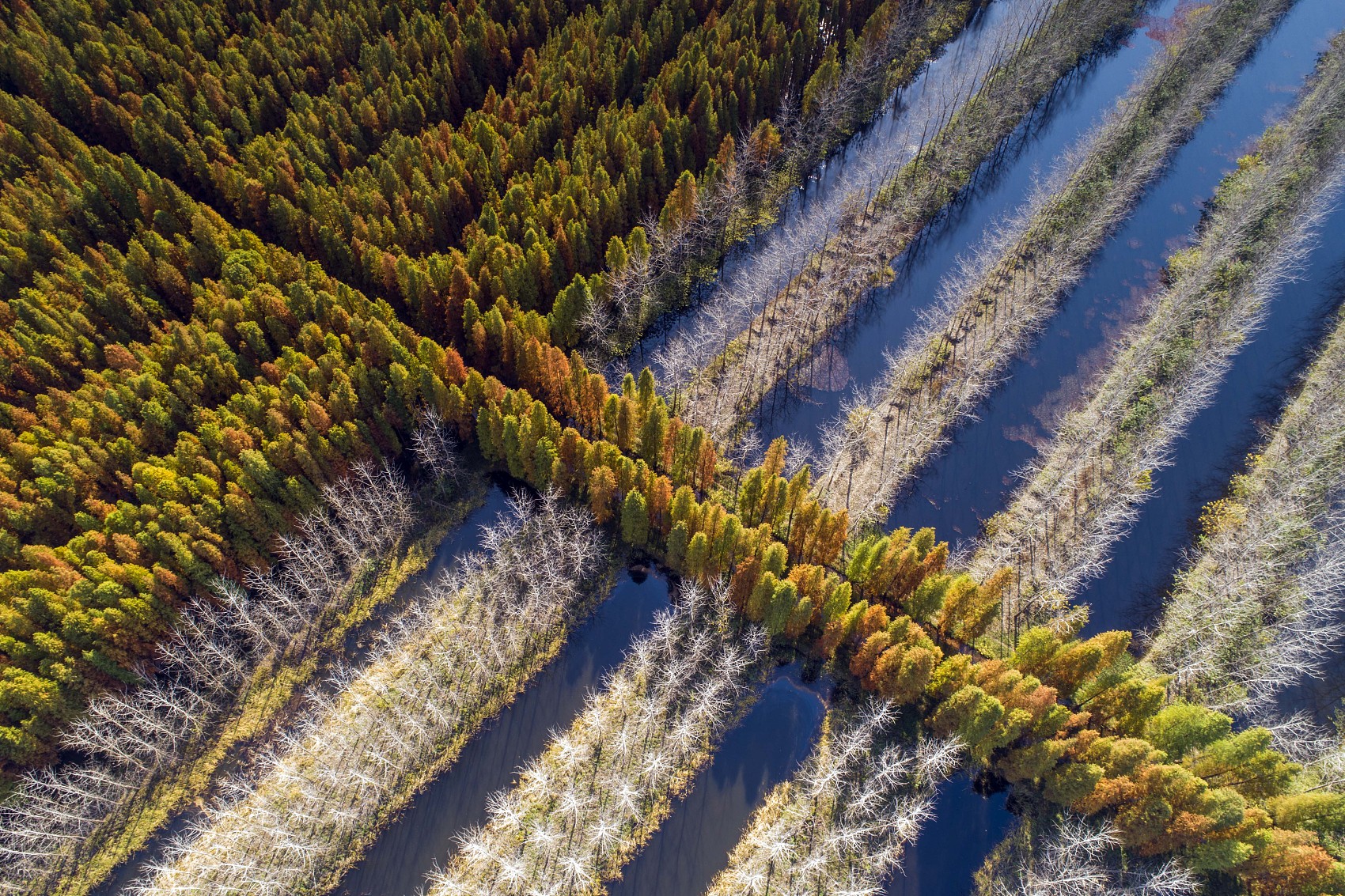 VCG111176942882 (1).jpg