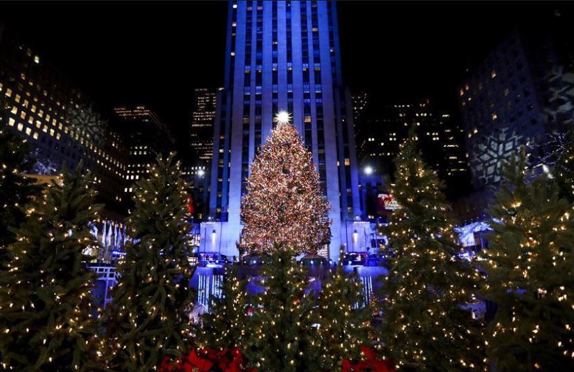 xmas tree.JPG