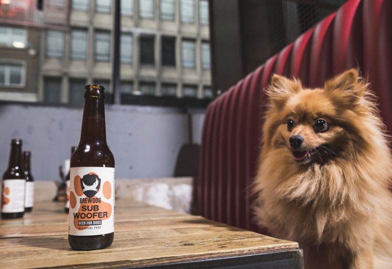 beer dog.JPG