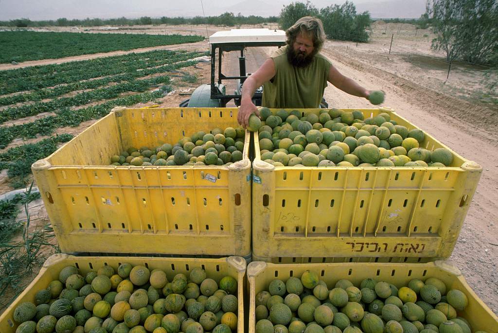 israel fruit.jpg