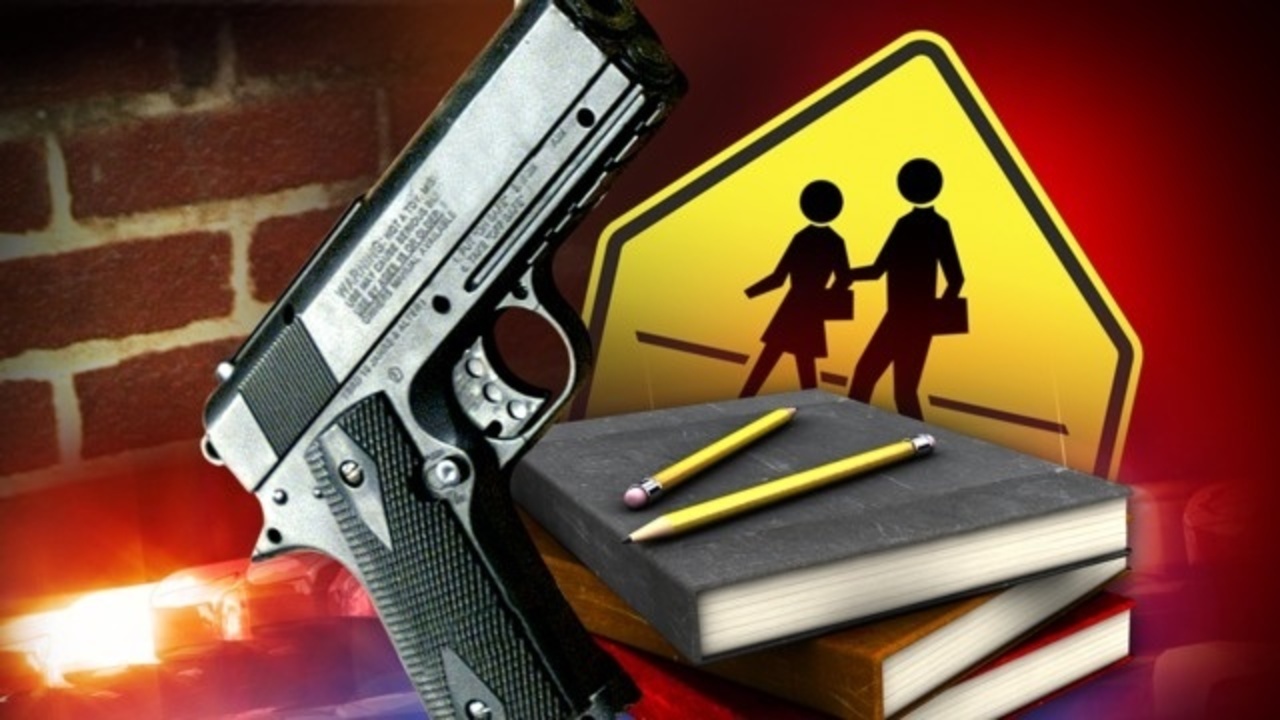 School guns.jpg