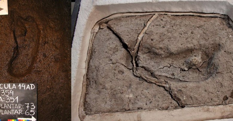 Oldest-Human-Footprint-Americas.jpg