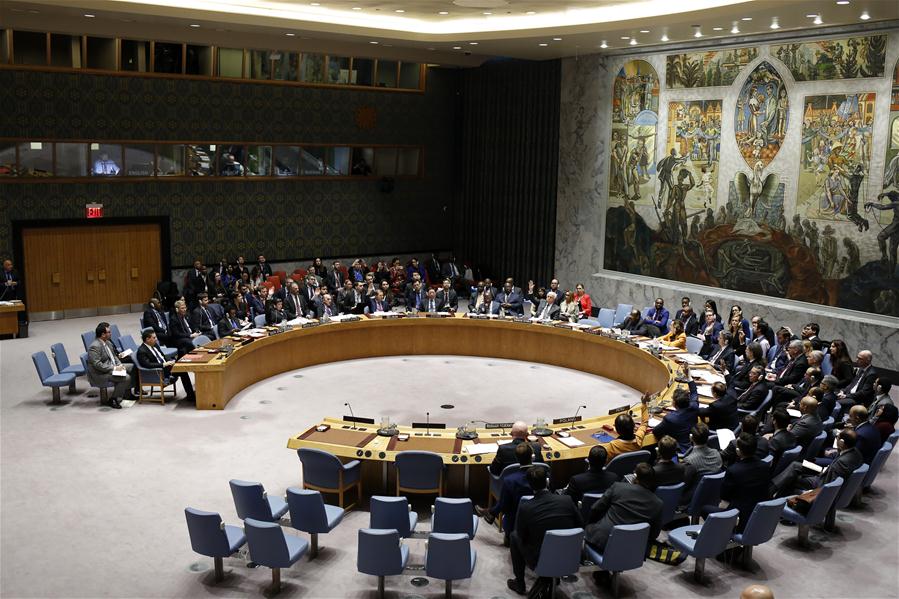 UN Security Council XINHUA.jpg