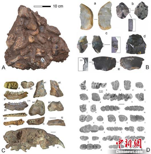 Chinese researchers discover 300,000-year-old.jpg