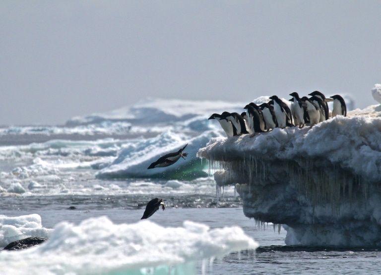 Antarctic sea.jpg